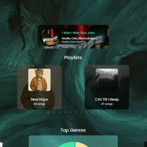 Spotify Statistics mockup